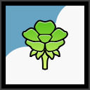 BloomVale