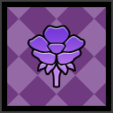 Violet Ranunculus