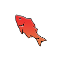 Red Koi Imports