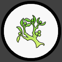 Moonshae, Inc