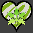 Maccha Love